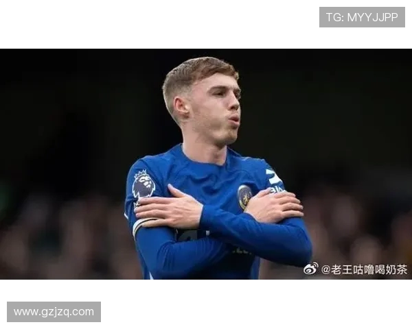 阿达拉比奥尤称帕尔默为球队最佳 红黄牌问题不会长久影响表现